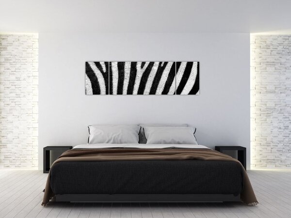 Obraz skóry zebry (170x50 cm)