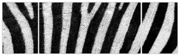 Obraz skóry zebry (170x50 cm)