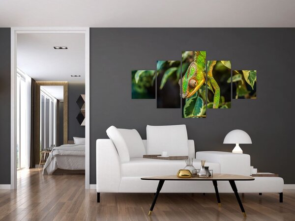 Obraz kameleona (125x70 cm)