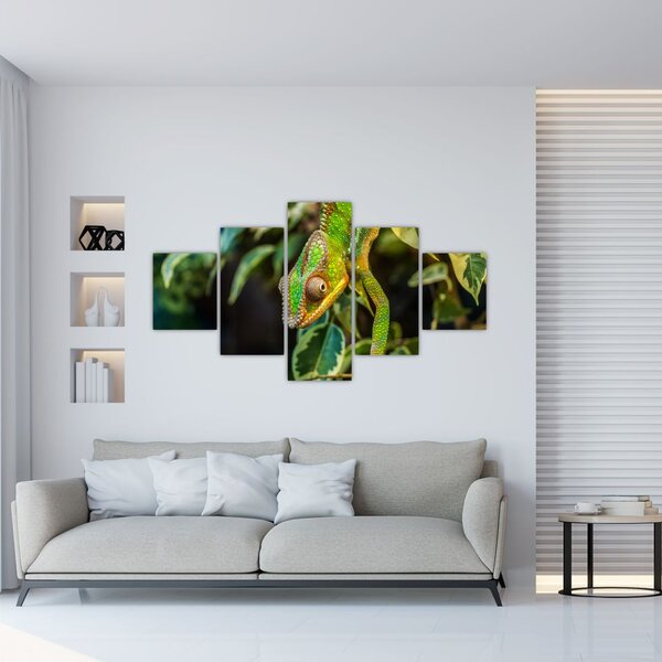 Obraz kameleona (125x70 cm)