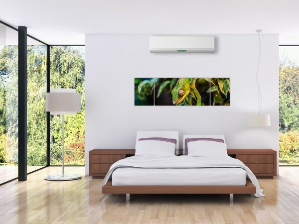 Obraz kameleona (170x50 cm)