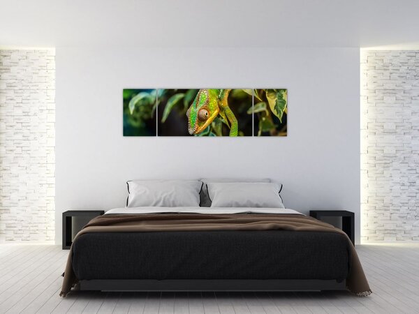Obraz kameleona (170x50 cm)