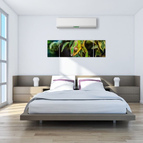 Obraz kameleona (170x50 cm)