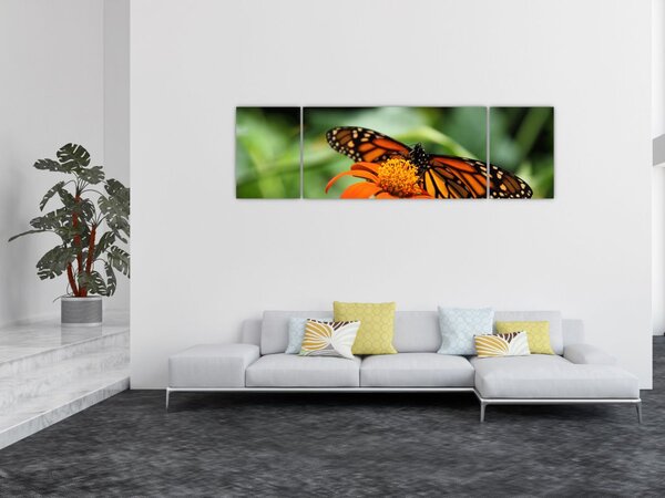 Obraz motyla na kwiatku (170x50 cm)