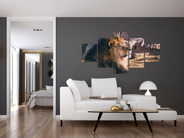 Obraz leżącego lwa (125x70 cm)