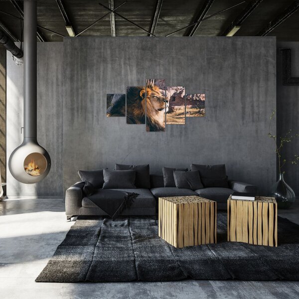 Obraz leżącego lwa (125x70 cm)
