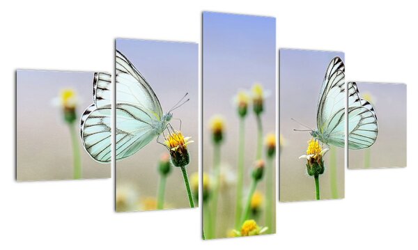 Obraz motyli na kwiatku (125x70 cm)
