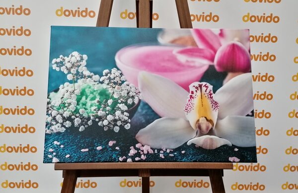 Obraz detale pięknej orchidei
