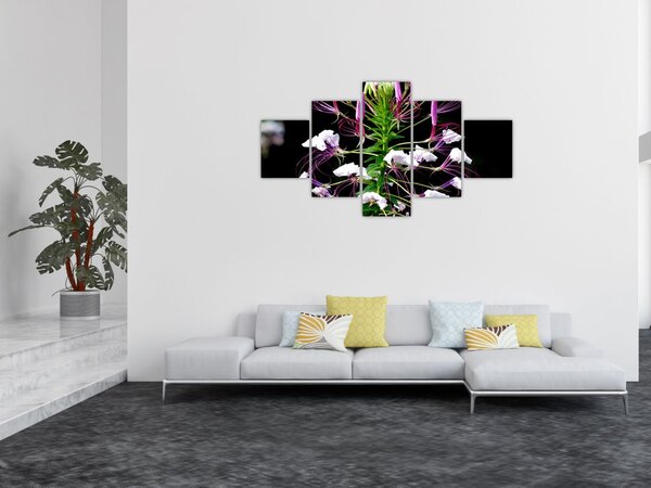 Obraz kwiatu (125x70 cm)