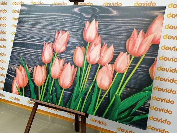 Obraz urocze pomarańczowe tulipany na drewnianym tle