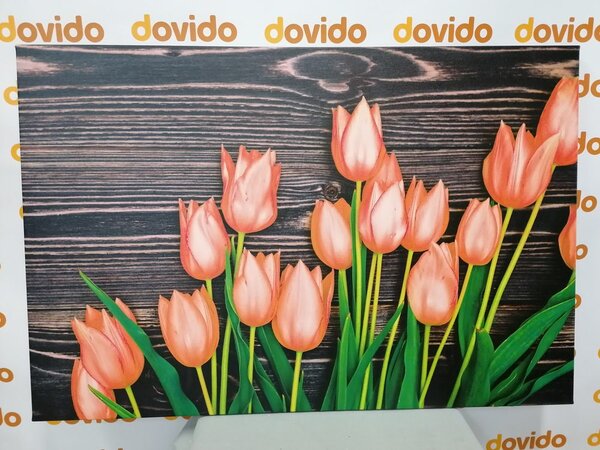Obraz urocze pomarańczowe tulipany na drewnianym tle