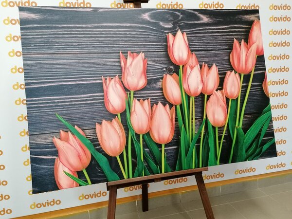 Obraz urocze pomarańczowe tulipany na drewnianym tle