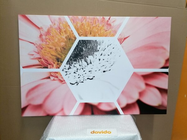 Obraz gerbera w sześciokącie