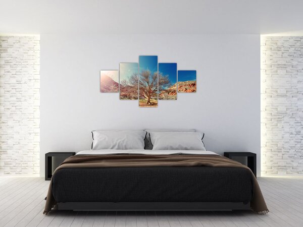Obraz drzewa na pustyni (125x70 cm)