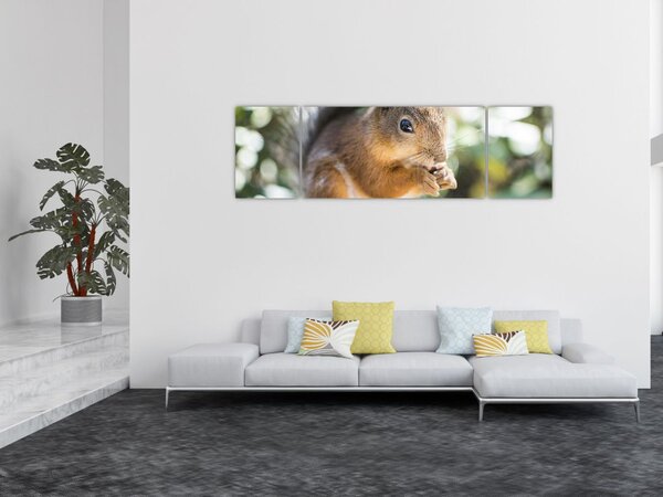 Obraz wiewiórki (170x50 cm)