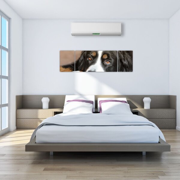 Obraz psa (170x50 cm)