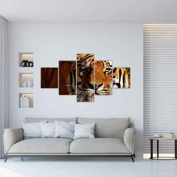Obraz tygrysa (125x70 cm)