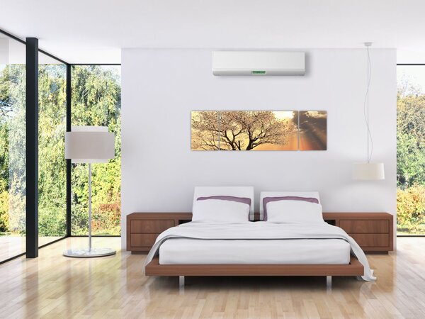 Obraz drzewa na łące (170x50 cm)