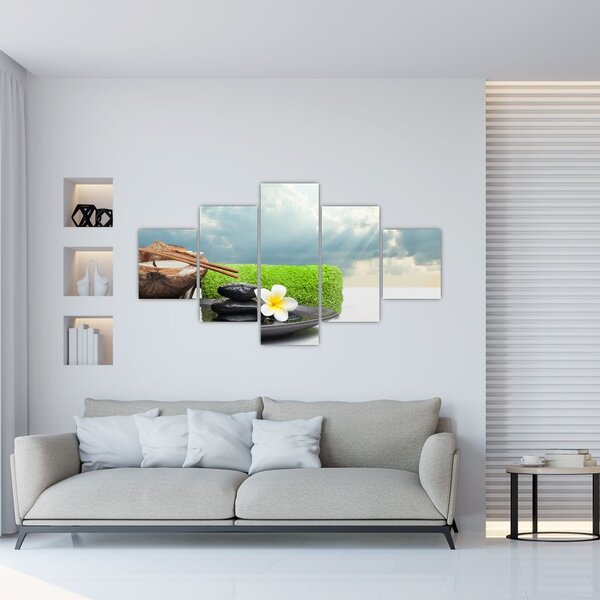 Obraz - Spa and relakx (125x70 cm)