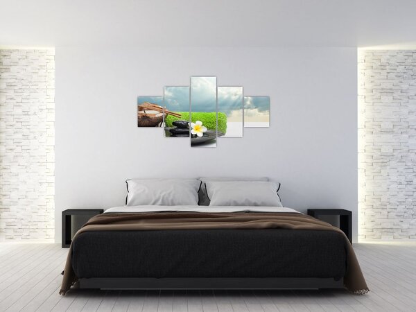 Obraz - Spa and relakx (125x70 cm)