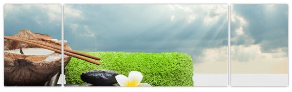 Obraz - Spa and relakx (170x50 cm)