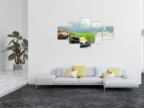 Obraz - Spa and relakx (125x70 cm)