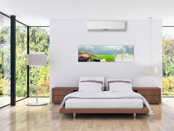Obraz - Spa and relakx (170x50 cm)