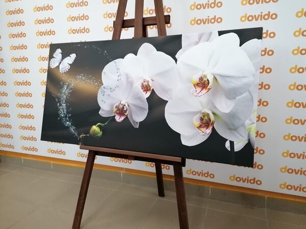 Obraz orchidea i motyl