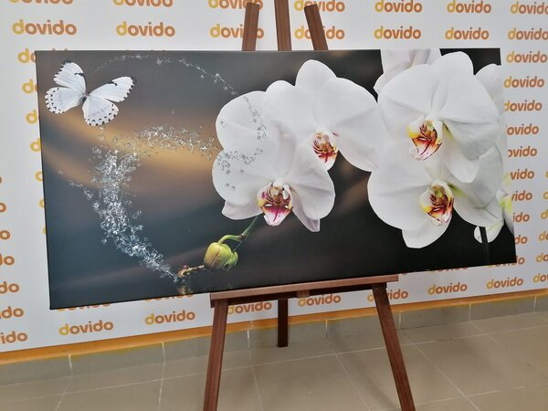 Obraz orchidea i motyl