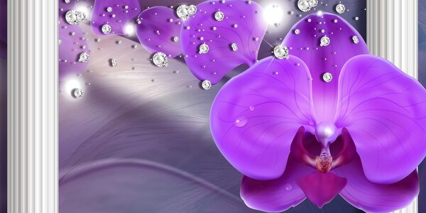 Obraz orchidea przy greckich kolumnach