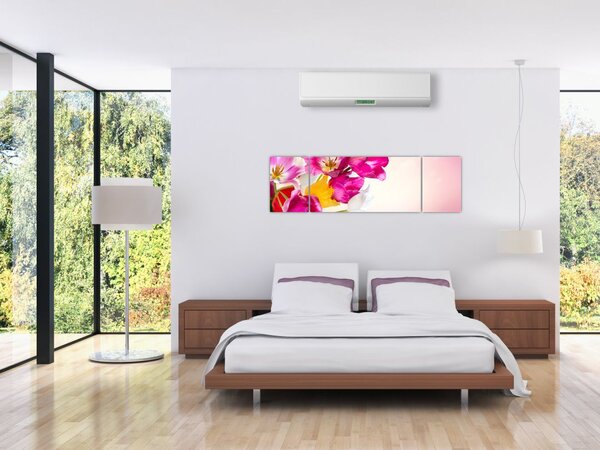 Obraz tulipanów (170x50 cm)