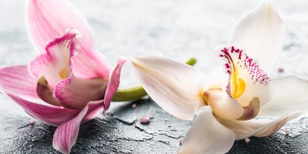 Obraz kwiaty orchidei