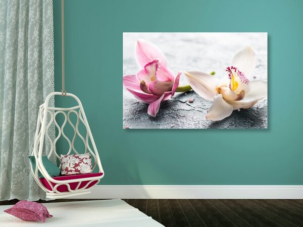 Obraz dwukolorowe kwiaty orchidei