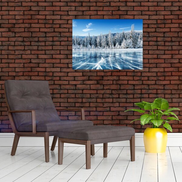 Obraz zamarzniętego jeziora i pokrytych śniegiem drzew (70x50 cm)