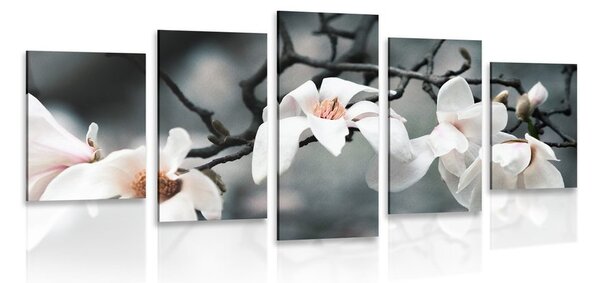 5-częściowy obraz budząca się magnolia