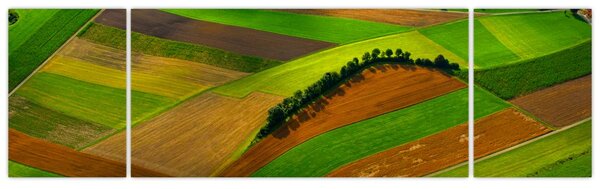 Obraz - Pola, łąki (170x50 cm)