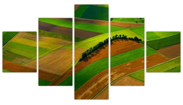 Obraz - Pola, łąki (125x70 cm)