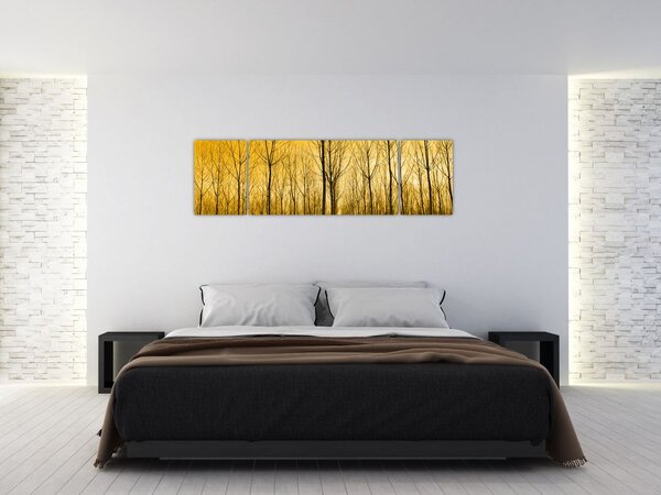 Obraz - Plantacja drzew (170x50 cm)