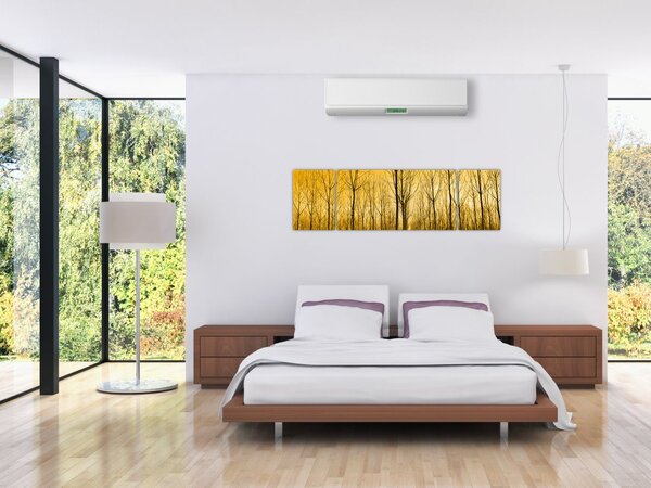 Obraz - Plantacja drzew (170x50 cm)