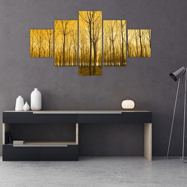 Obraz - Plantacja drzew (125x70 cm)