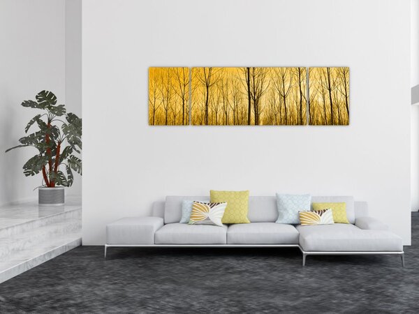 Obraz - Plantacja drzew (170x50 cm)