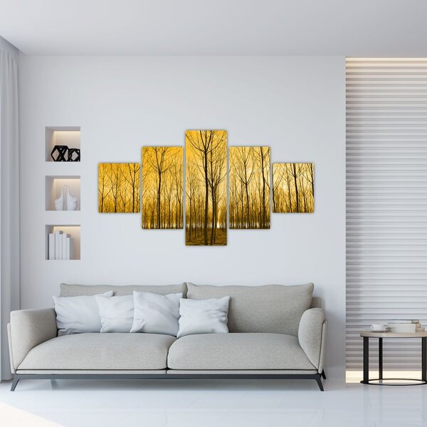 Obraz - Plantacja drzew (125x70 cm)