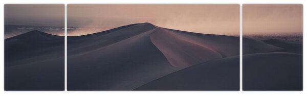 Obraz - Wydmy piaskowe (170x50 cm)