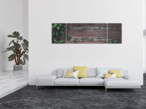 Obraz - Bluszcz (170x50 cm)