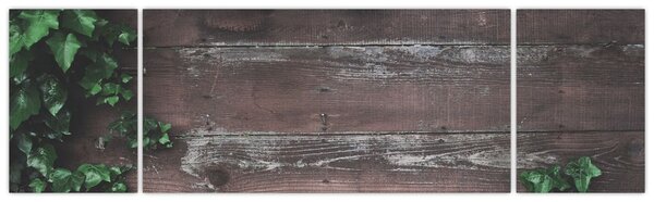 Obraz - Bluszcz (170x50 cm)