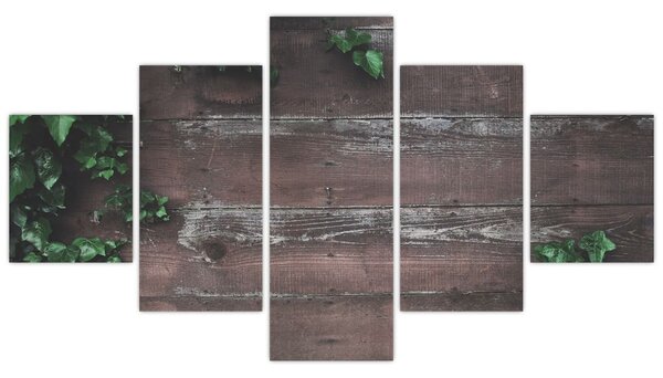 Obraz - Bluszcz (125x70 cm)
