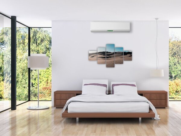 Obraz - Z pustyni (125x70 cm)
