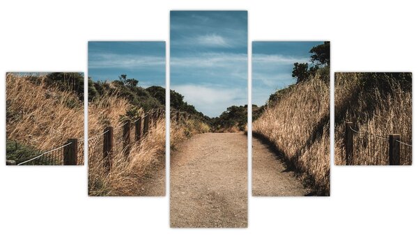 Obraz - Na szlaku (125x70 cm)