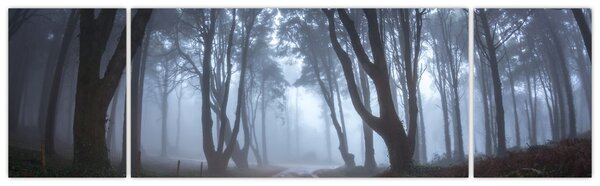 Obraz - W deszczowy dzień (170x50 cm)