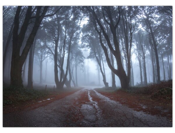 Obraz - W deszczowy dzień (70x50 cm)